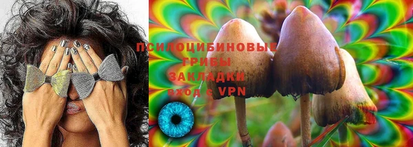 твердый Балахна