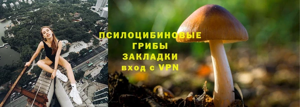 гидропоника Аркадак